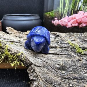 Figurine Tortue Sodalite, Namibie, Qualité A