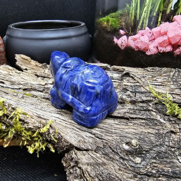 Figurine Tortue Sodalite, Namibie, Qualité A – Image 2