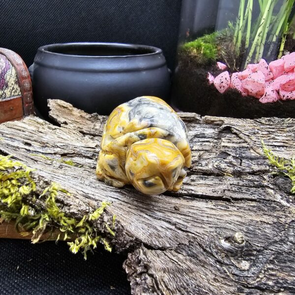 Figurine Tortue Agathe Crazy Lace, Mexique, Qualité A