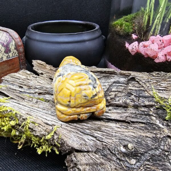 Figurine Tortue Agathe Crazy Lace, Mexique, Qualité A – Image 2