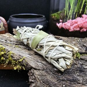 Fagots Sauge et Eucalyptus