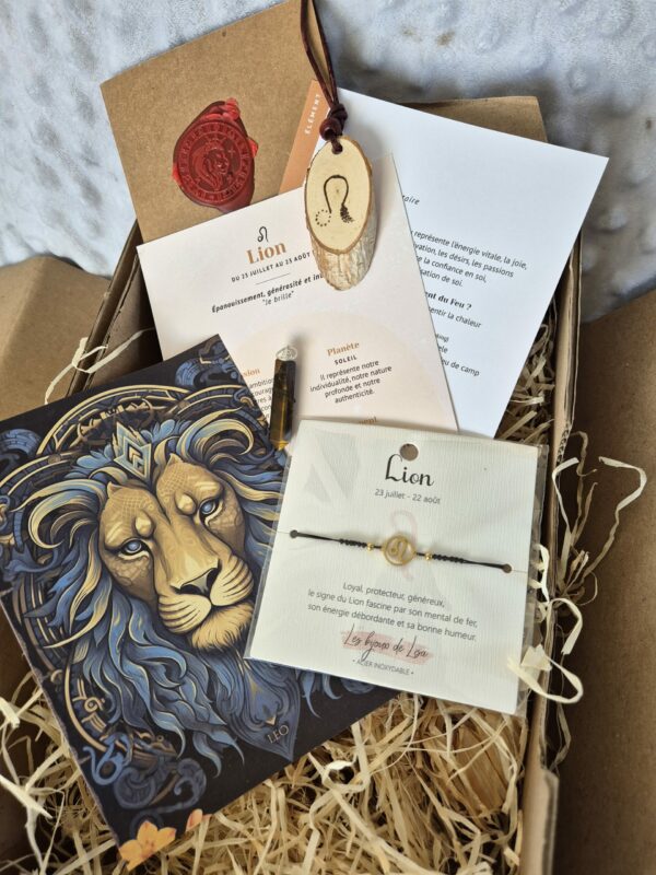 Box du Lion – Image 2